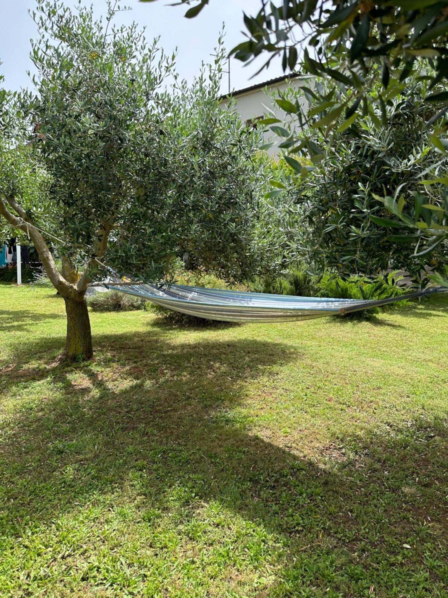 Apartment Karolina - Green Oasis Pula Exterior foto